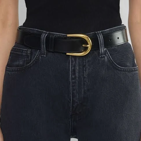 accessory Aritzia Wide Leather Belt with Accent Aritzia $88