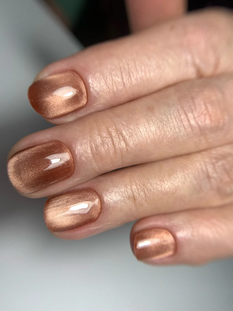 27 Chrome Cat Eye Fall Nails 2026 Ideas for a Chic Seasonal Manicure