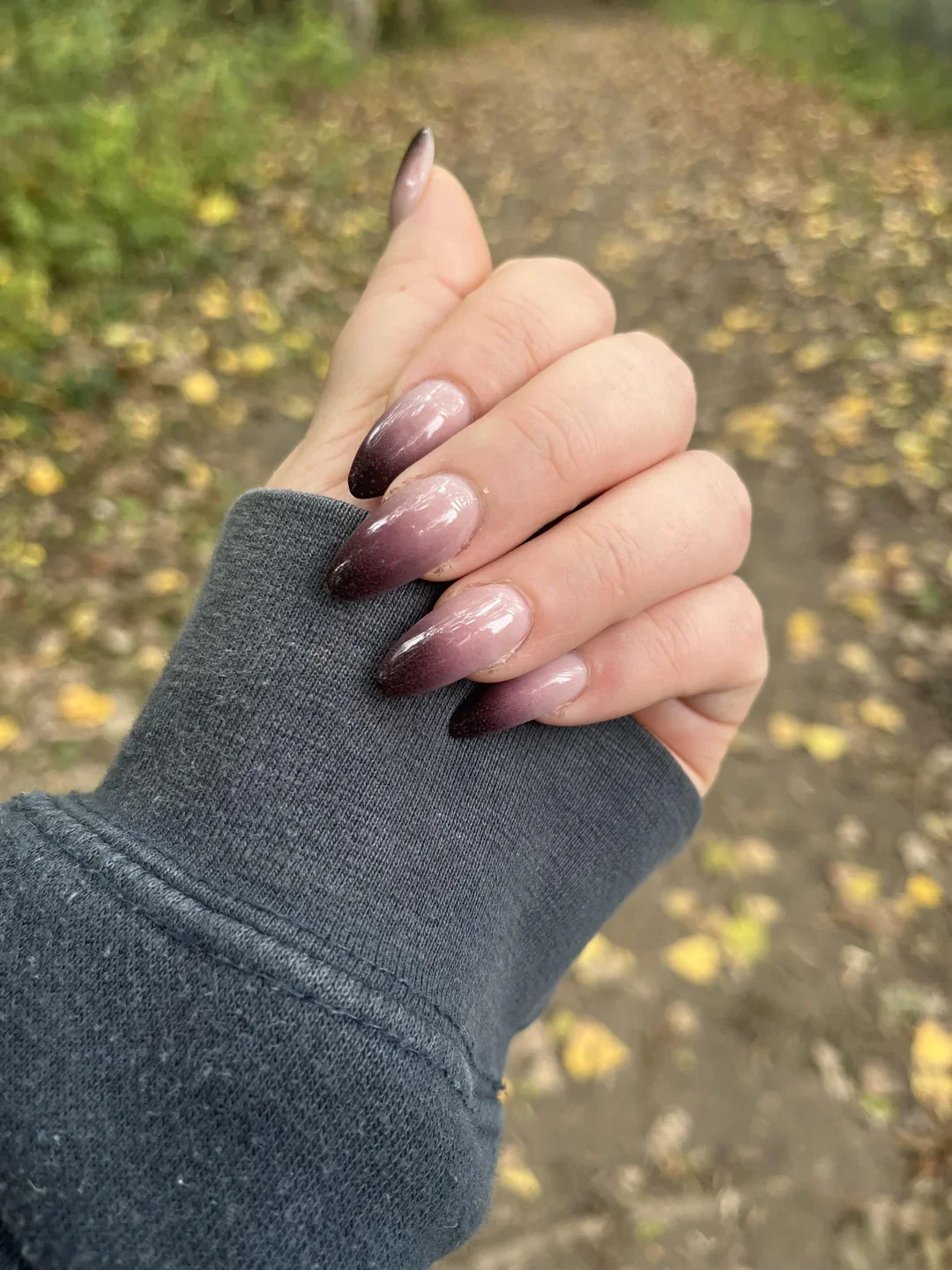 23 Trending Nail Colors And Designs For Fall 2026