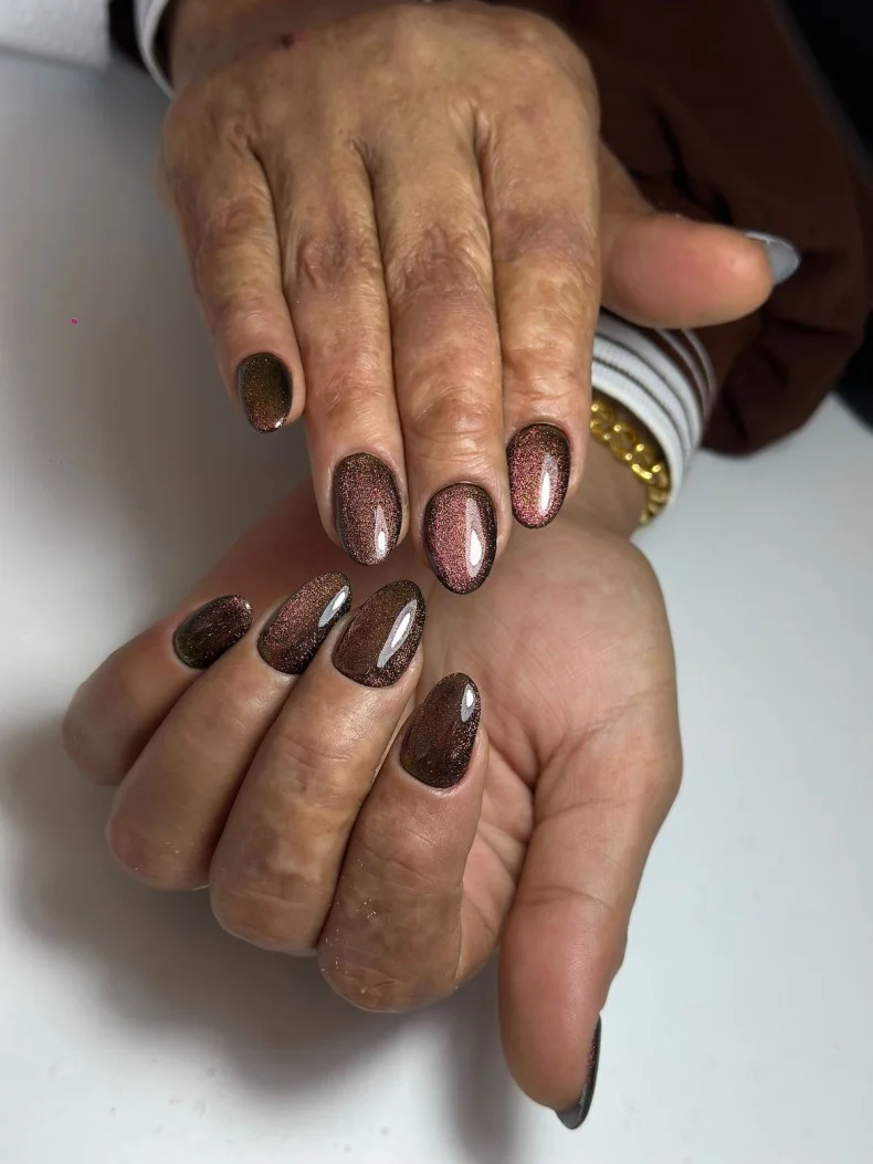 27 Chrome Cat Eye Fall Nails 2026 Ideas for a Chic Seasonal Manicure