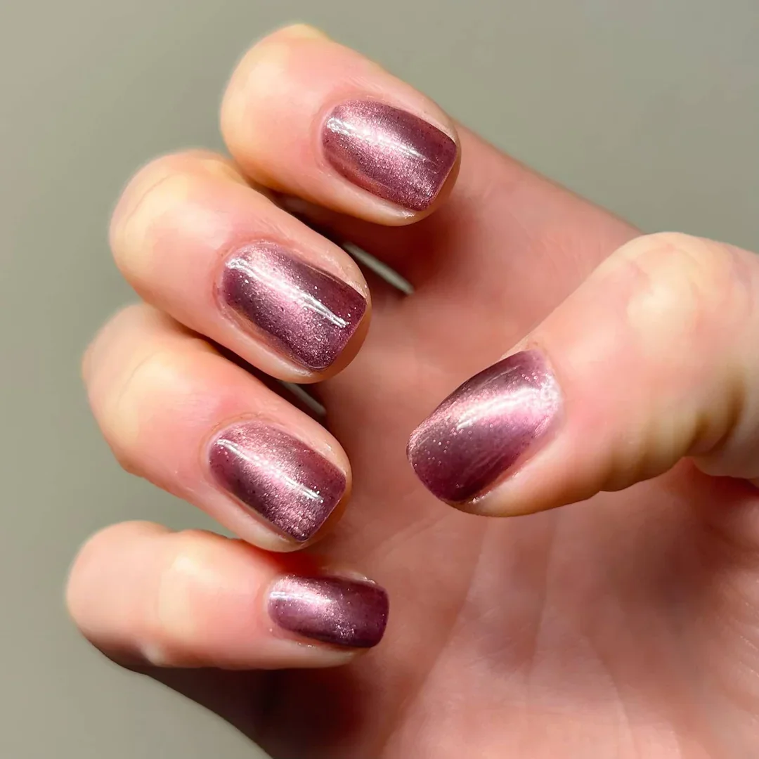 25 Plum Burgundy Fall Nails 2026 Ideas for a Chic Autumn Manicure