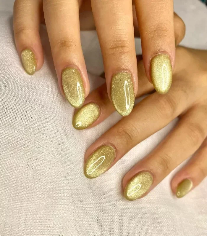 21 Cat Eye Nails With Magnetic Gel Polish For Fall