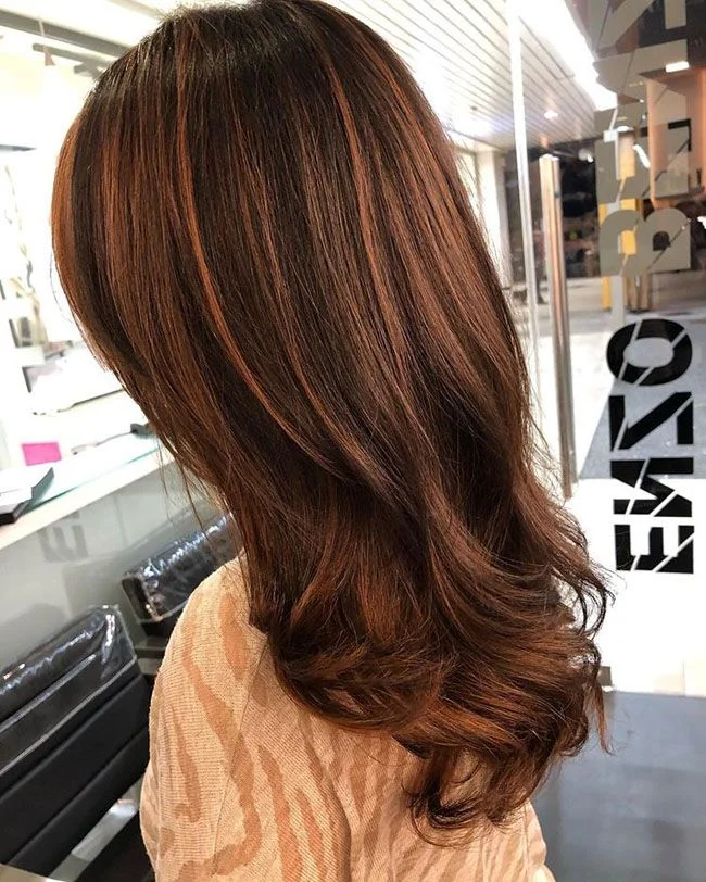 23 2026 Fall Hair Color Inspiration for Brown Hair