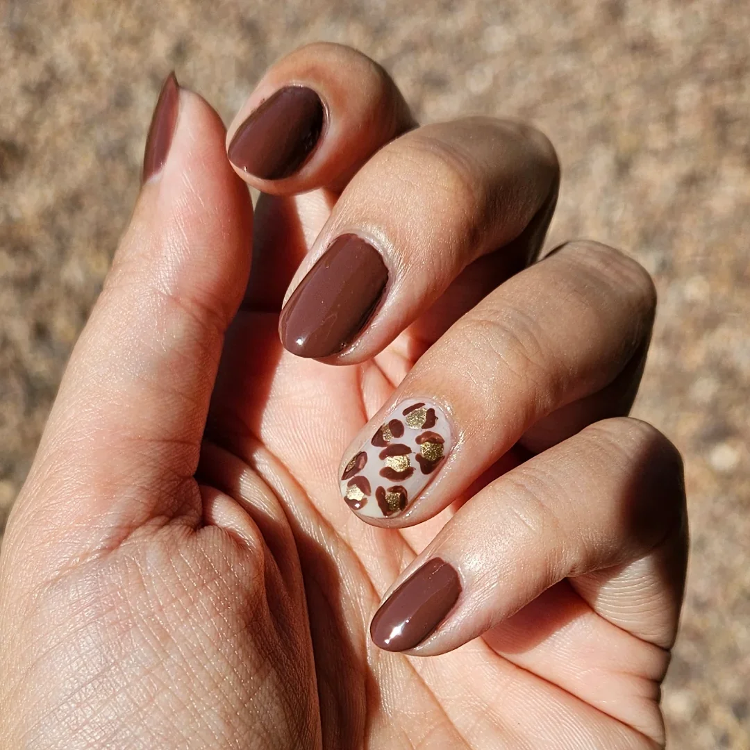 Chocolate Brown Fall Nails 2026 Designs: 29 Trendy Ideas