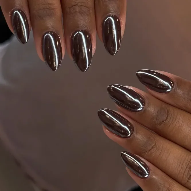 Chocolate Brown Fall Nails 2026 Designs: 29 Trendy Ideas