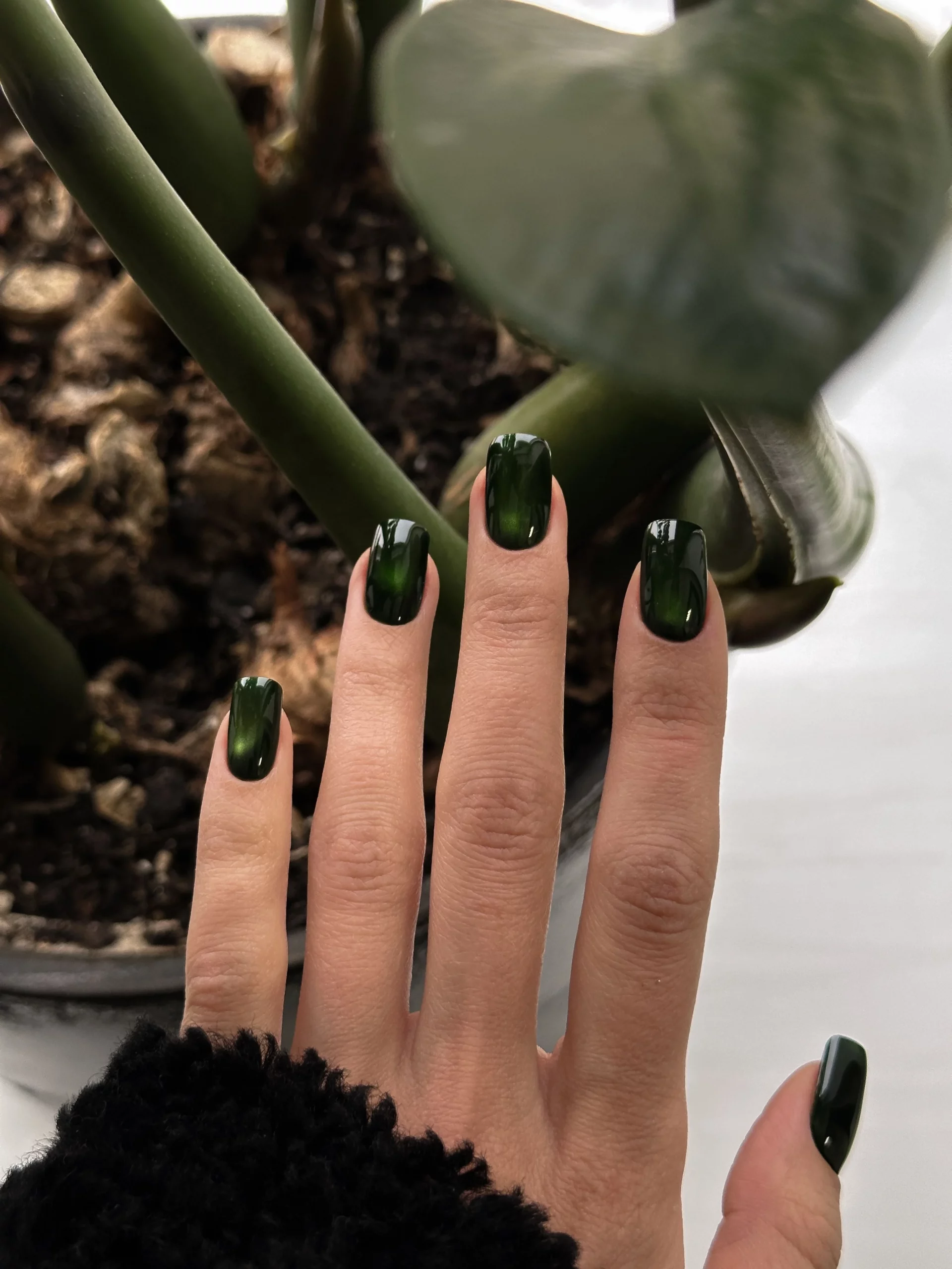 26 Olive Green Fall Nails 2026 Ideas for a Chic Autumn Manicure