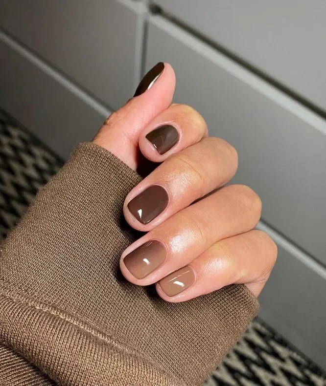 Chocolate Brown Fall Nails 2026 Designs: 29 Trendy Ideas