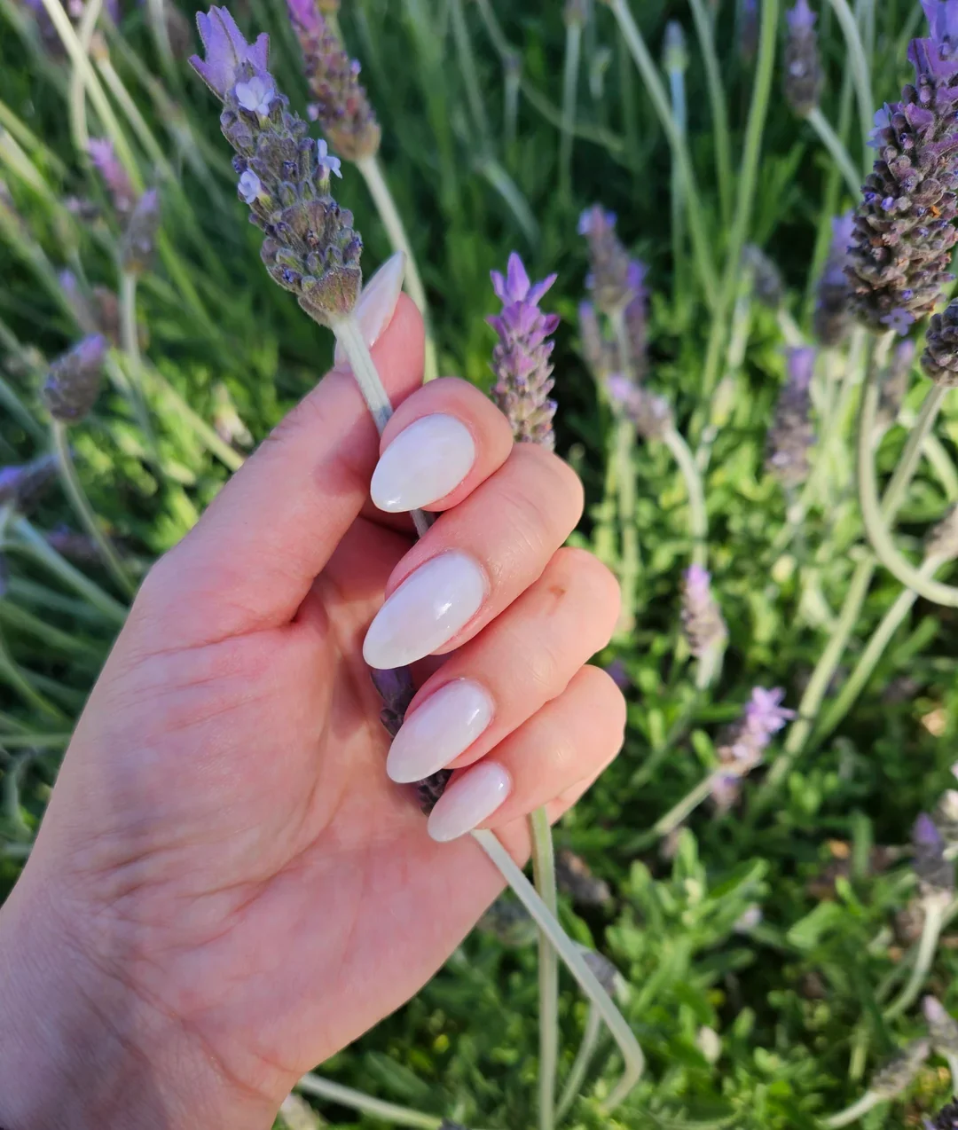 25 Milky White Nails For Minimal Chic Style