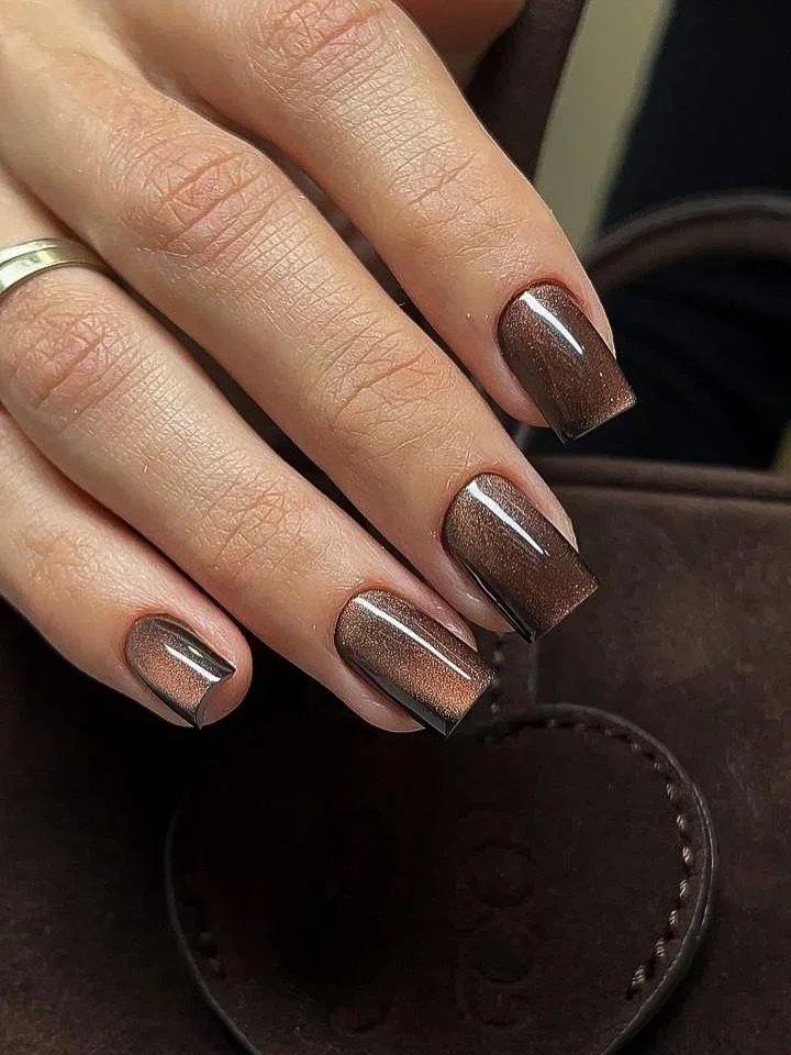 23 Velvet Magnetic Nails Luxurious Glossy Finish: Chic Manicure Ideas