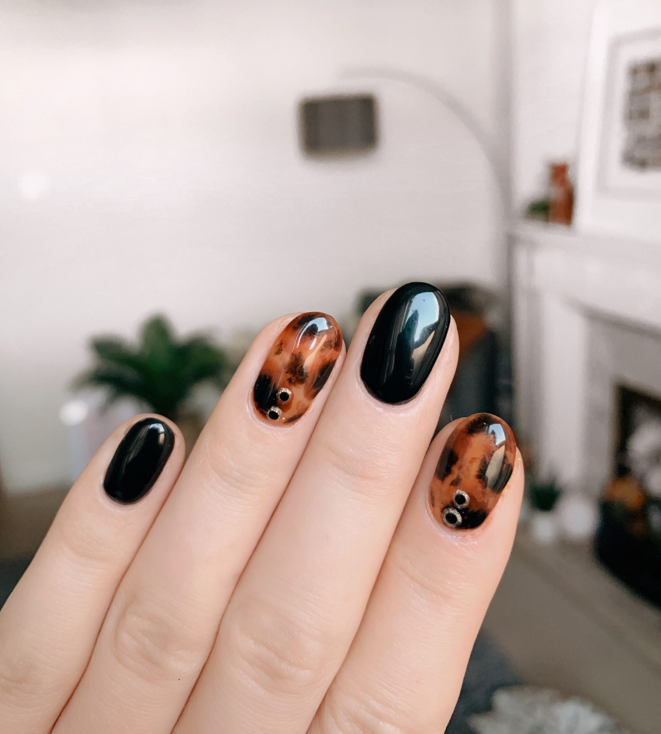 Tortoise Shell with Black and Silver Studs Tortoise Shell with Black and Silver Studs — Tortoise Shell Nails
