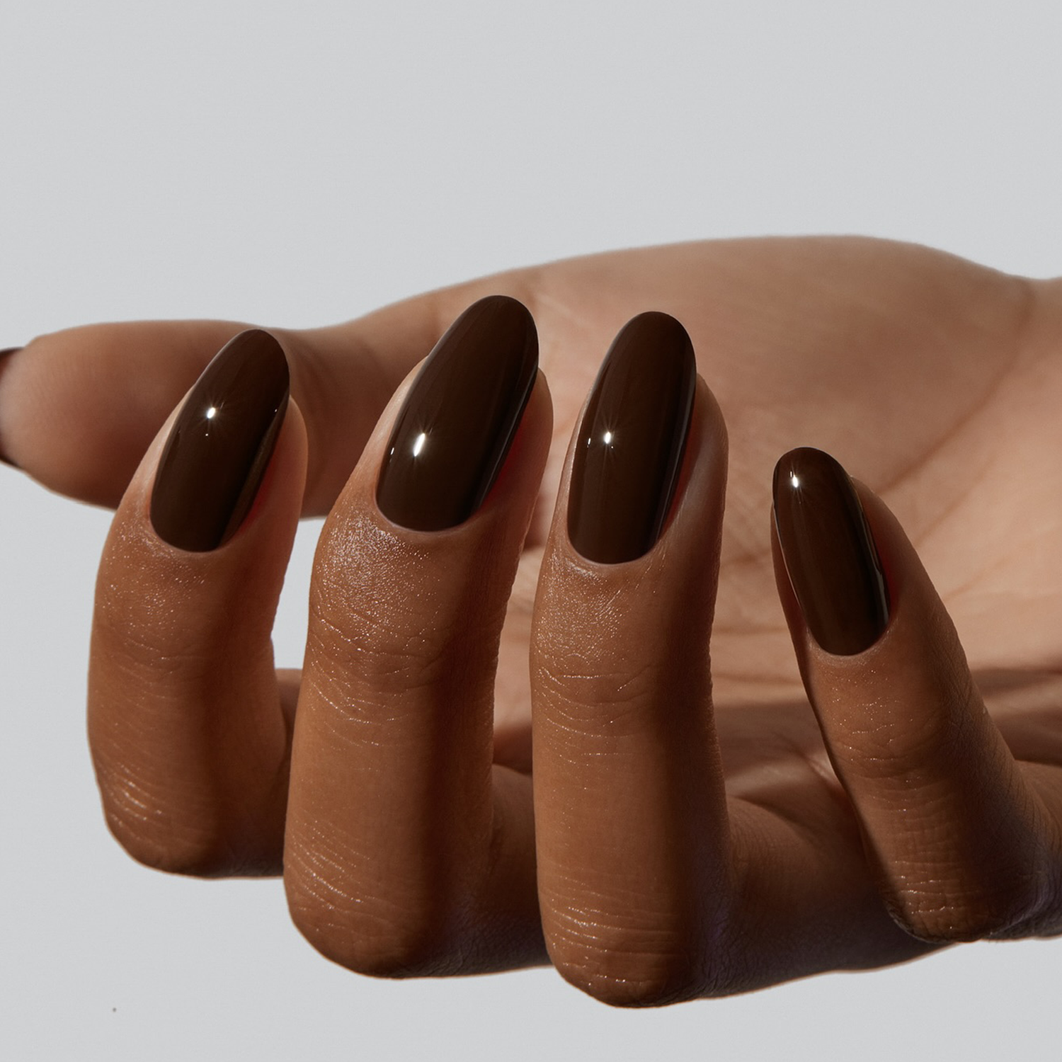 High Gloss Visual Idea High Gloss Visual Idea — Brown Nails