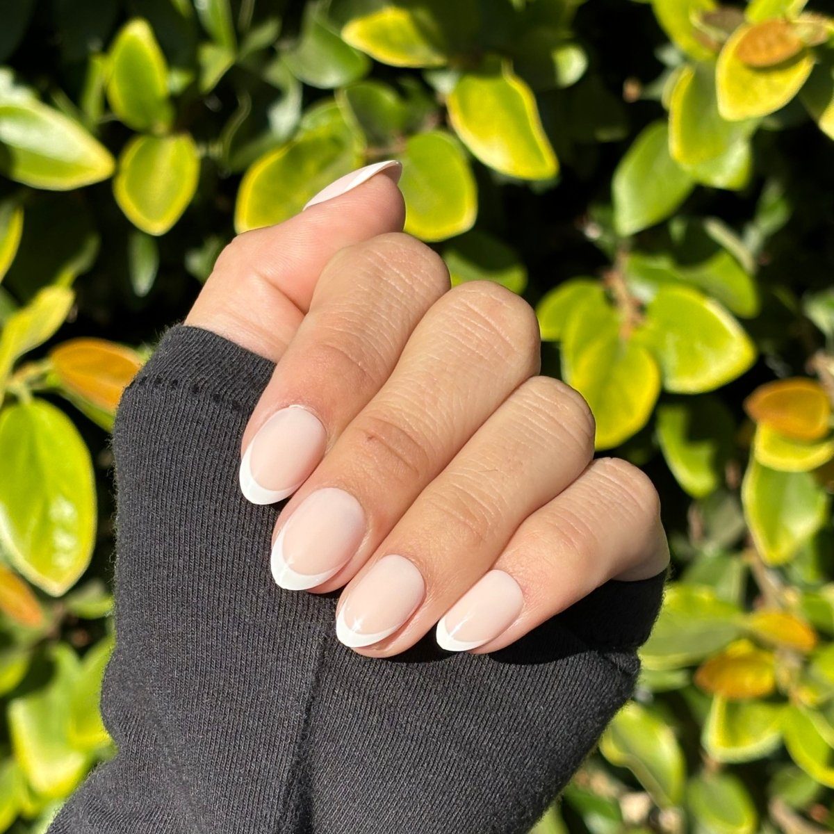 Natural Pink Base French Tips Natural Pink Base French Tips — Short French Tip Nails