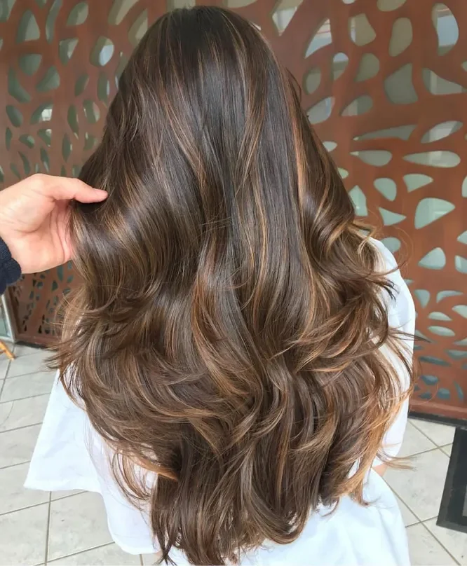 Smoky Caramel-Toned Balayage Long Hair: 22 Gorgeous Ideas for 2026