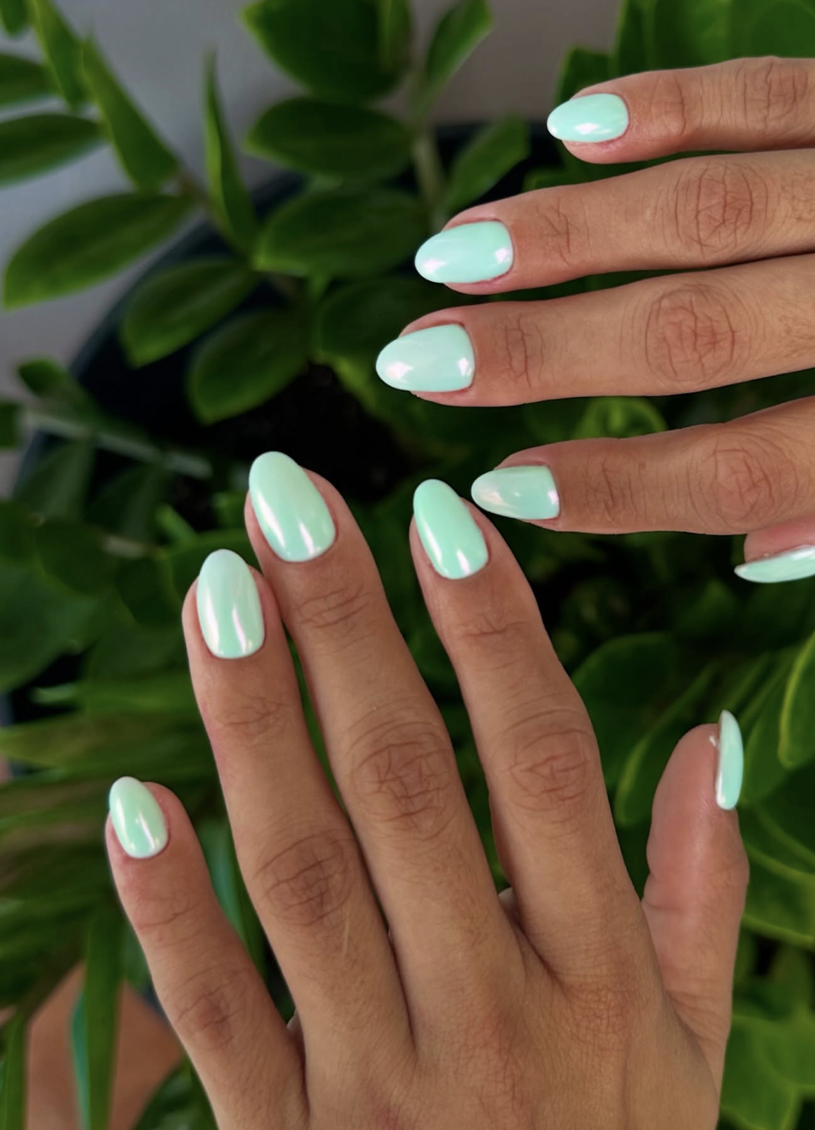 Shimmer Glossy Visual Idea Shimmer Glossy Visual Idea — Mint Green Nails