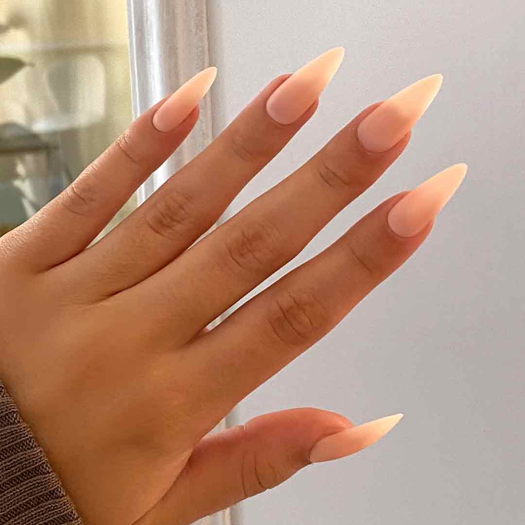 Matte Visual Idea — Stiletto Nails