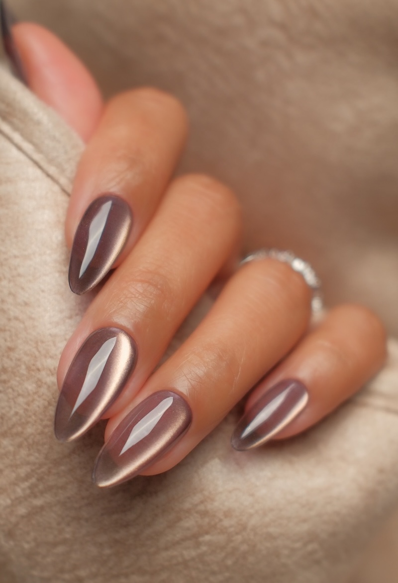 Cat-Eye Glossy Visual Idea Cat-Eye Glossy Visual Idea — Brown Nails