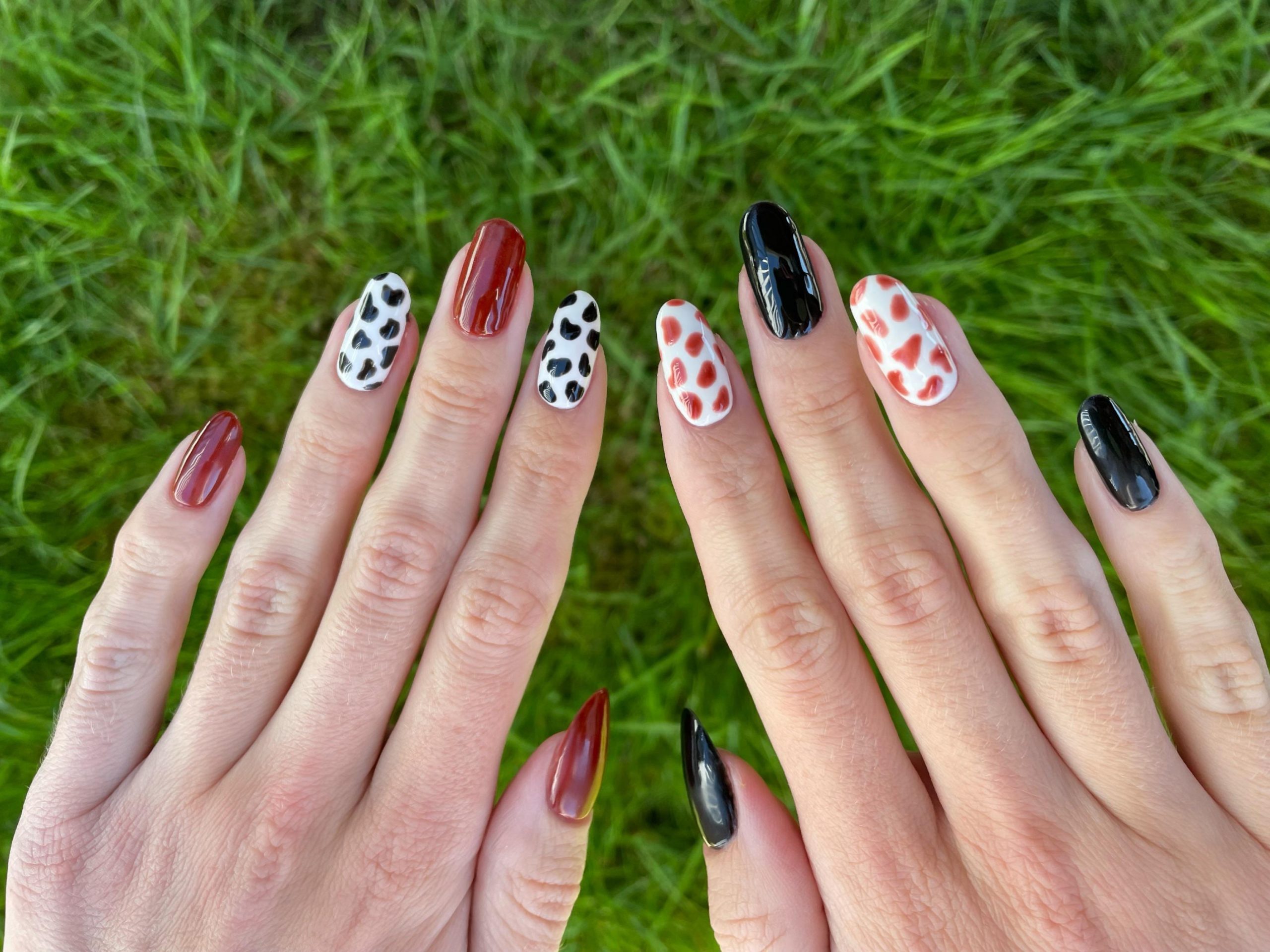 Deep Red Black and Cow Print Mix Deep Red Black and Cow Print Mix — Cow Print Nails