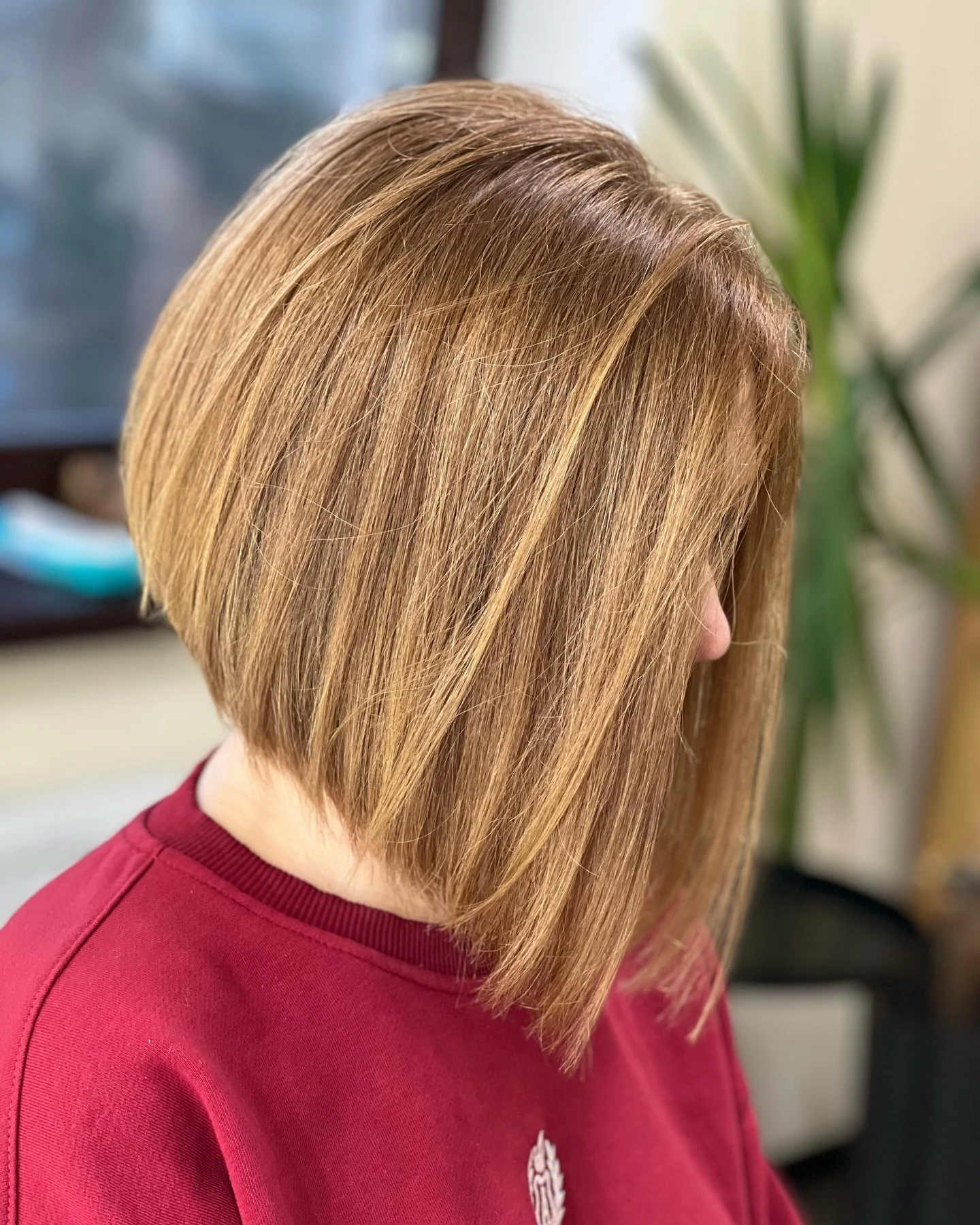 27 Stacked Angled Bob Haircuts for Modern Women