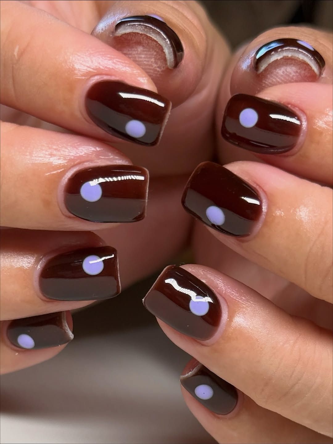Deep Brown with Purple Dots — Short Square Nails