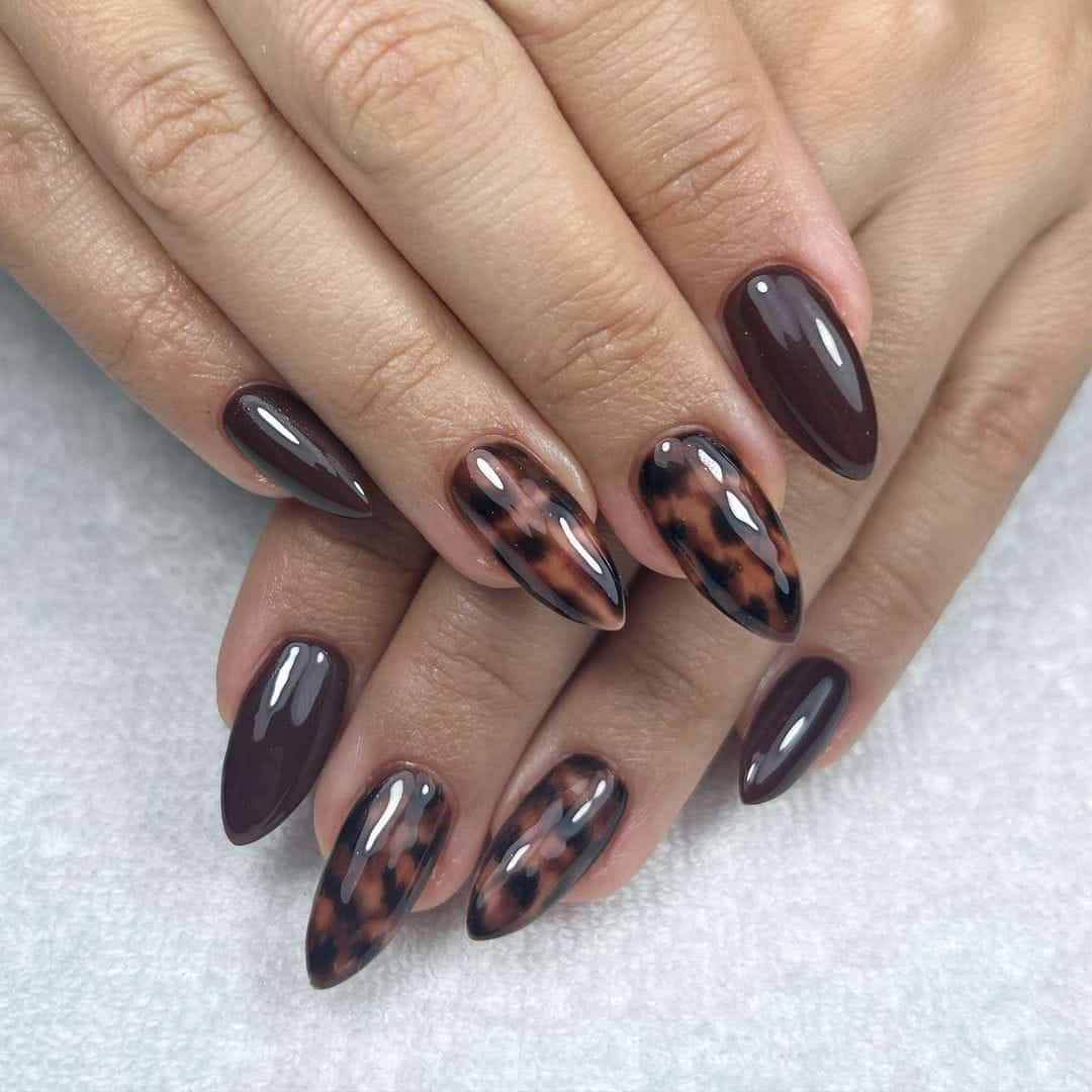 Glossy Classic Tortoise Shell Medium Stilettos Glossy Classic Tortoise Shell Medium Stilettos — Tortoise Shell Nails