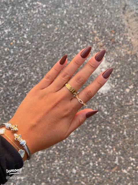 Medium Stiletto Warm Brown Glossy Nails Medium Stiletto Warm Brown Glossy Nails — Dark Nails