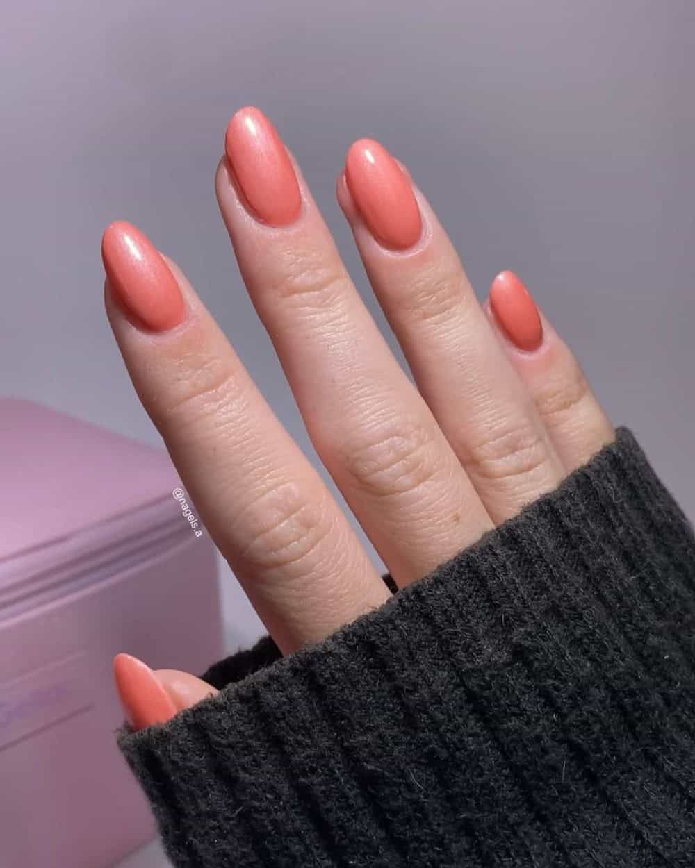 Solid Color Visual Idea — Nail Colors