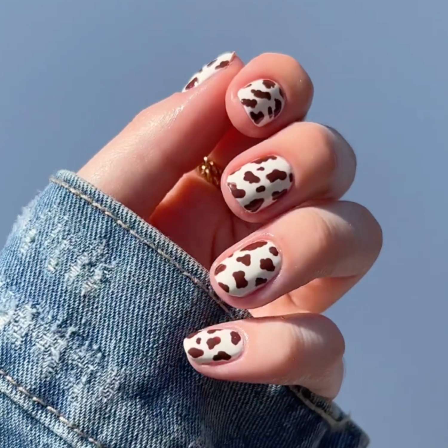 Medium Almond Classic Glossy Cow Print Medium Almond Classic Glossy Cow Print — Cow Print Nails