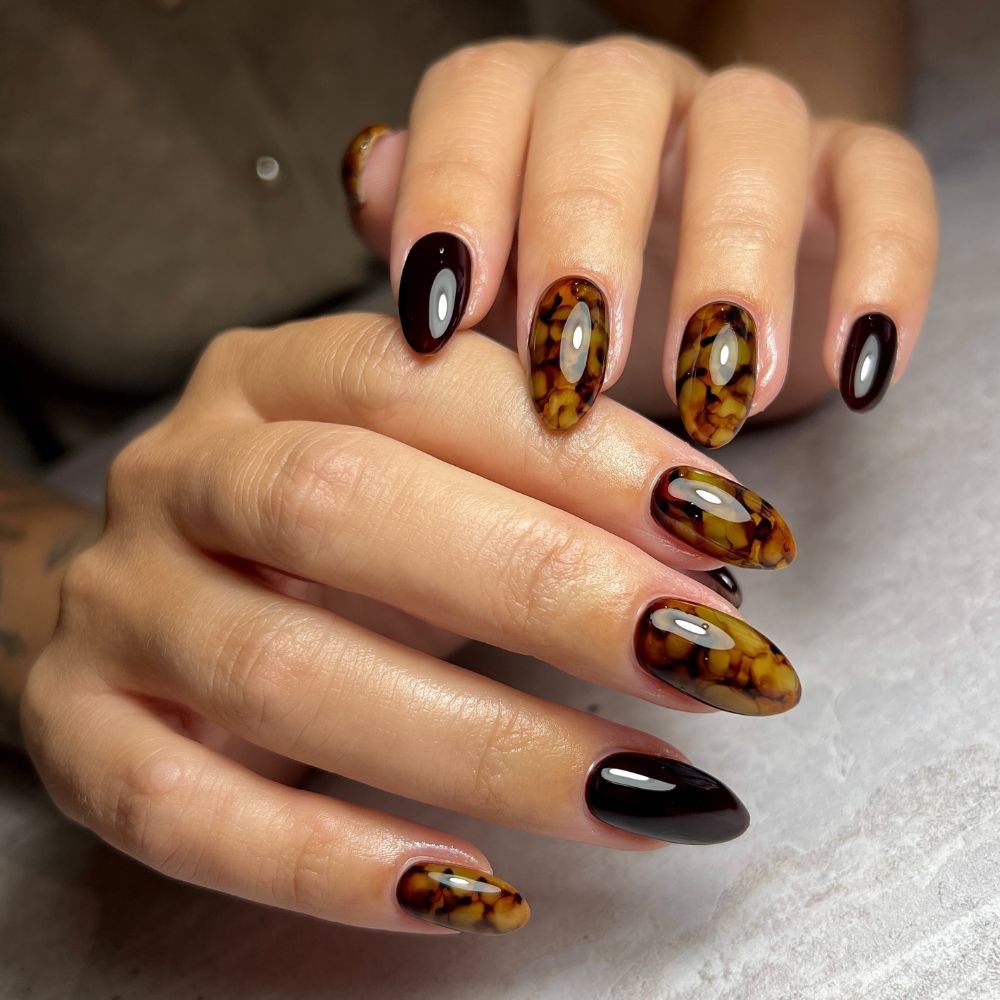 Rich Amber Tortoise Shell Ovals Rich Amber Tortoise Shell Ovals — Tortoise Shell Nails