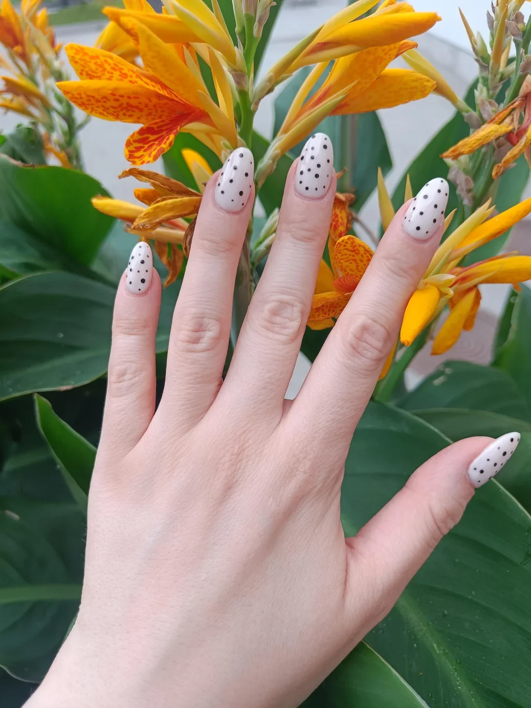 26 Polka Dot Nails Trend: Cute and Stylish Manicure Ideas