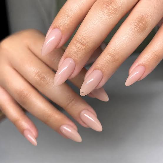 Glossy Long Stiletto Nude Nails — Natural Nails