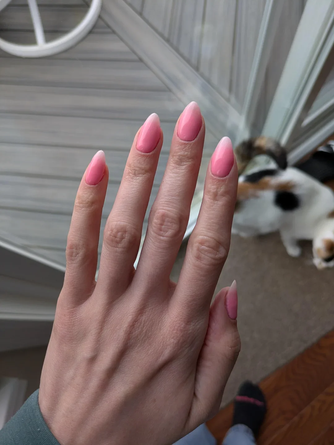 29 Ombré Nail Designs Trend Ideas to Try in 2026