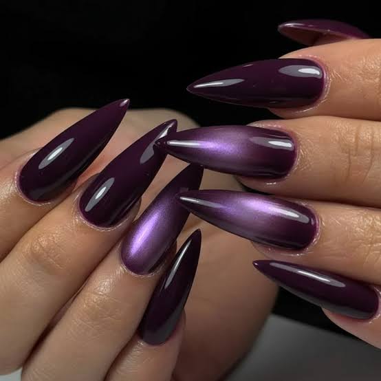 Deep Plum Magnetic Cat Eye Long Stiletto Nails Deep Plum Magnetic Cat Eye Long Stiletto Nails — Purple Nails