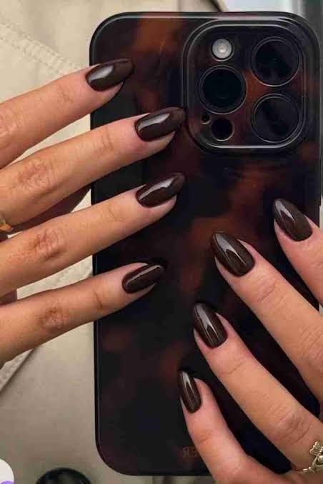 Medium Oval Chocolate Brown Glossy Nails Medium Oval Chocolate Brown Glossy Nails — Dark Nails