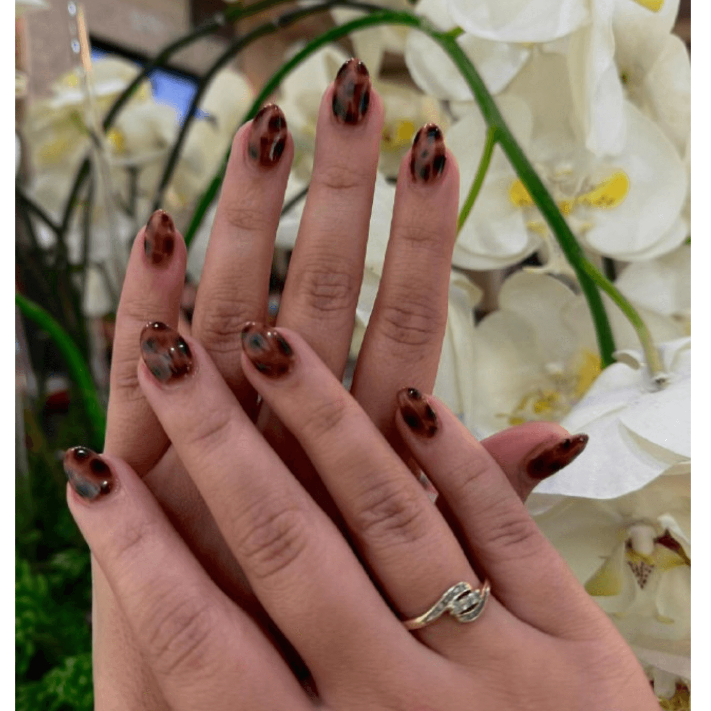 Tortoiseshell Almonds with Glossy Finish Tortoiseshell Almonds with Glossy Finish — Short Almond Nails
