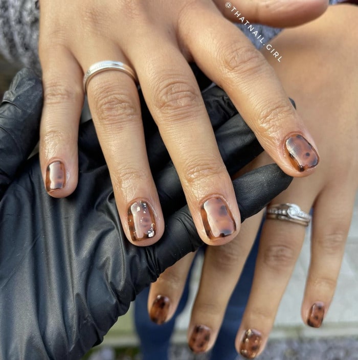 Glossy Tortoiseshell Pattern Nails — Short Round Nails