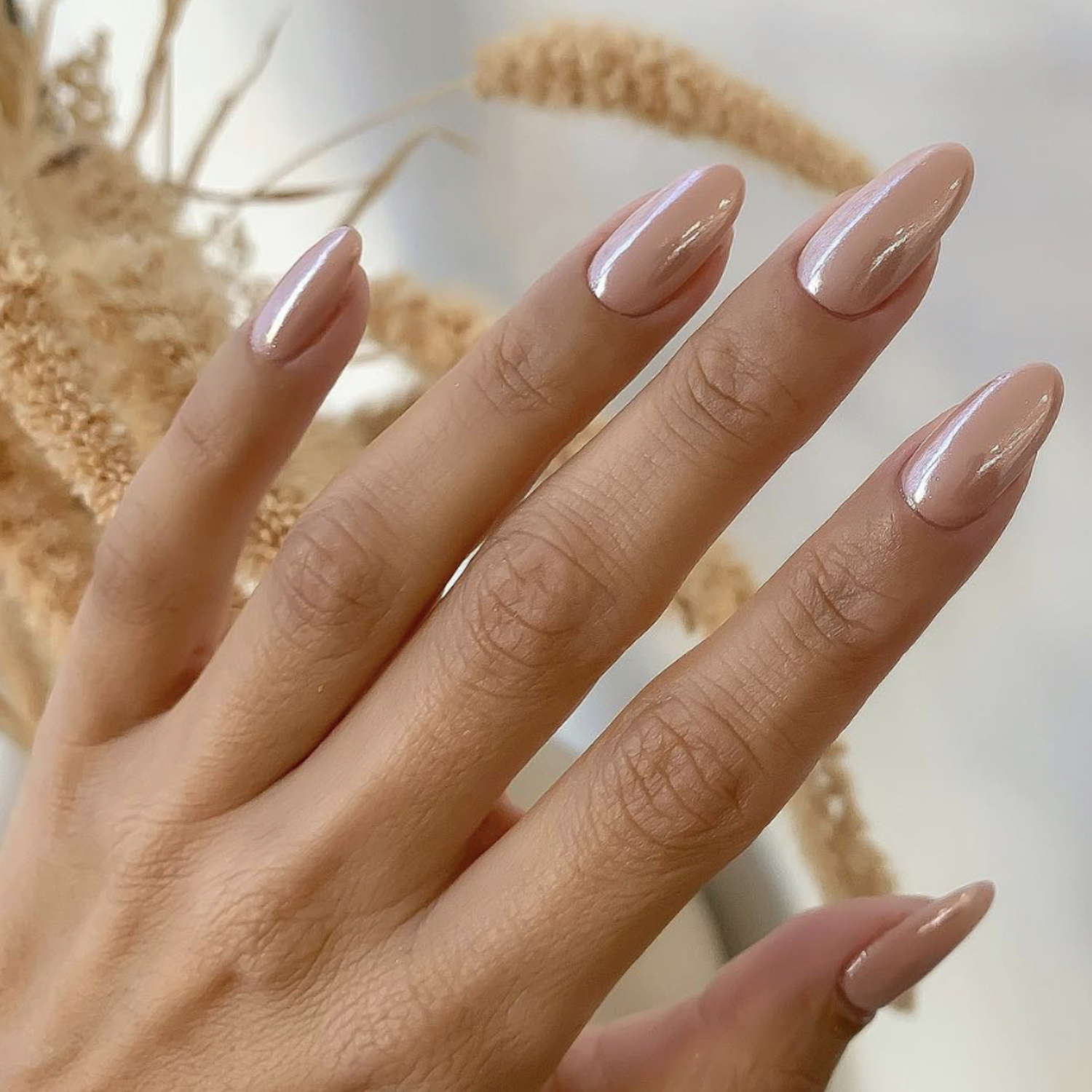 Light Beige Iridescent Shimmer Stilettos Light Beige Iridescent Shimmer Stilettos — Dip Powder Nails