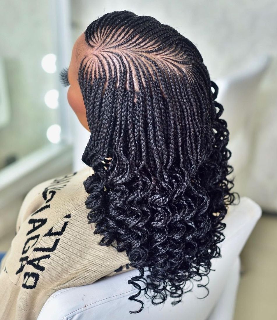 Black Collarbone Braids With Uniform Curls Black Collarbone Braids With Uniform Curls — Braids with Curly Ends