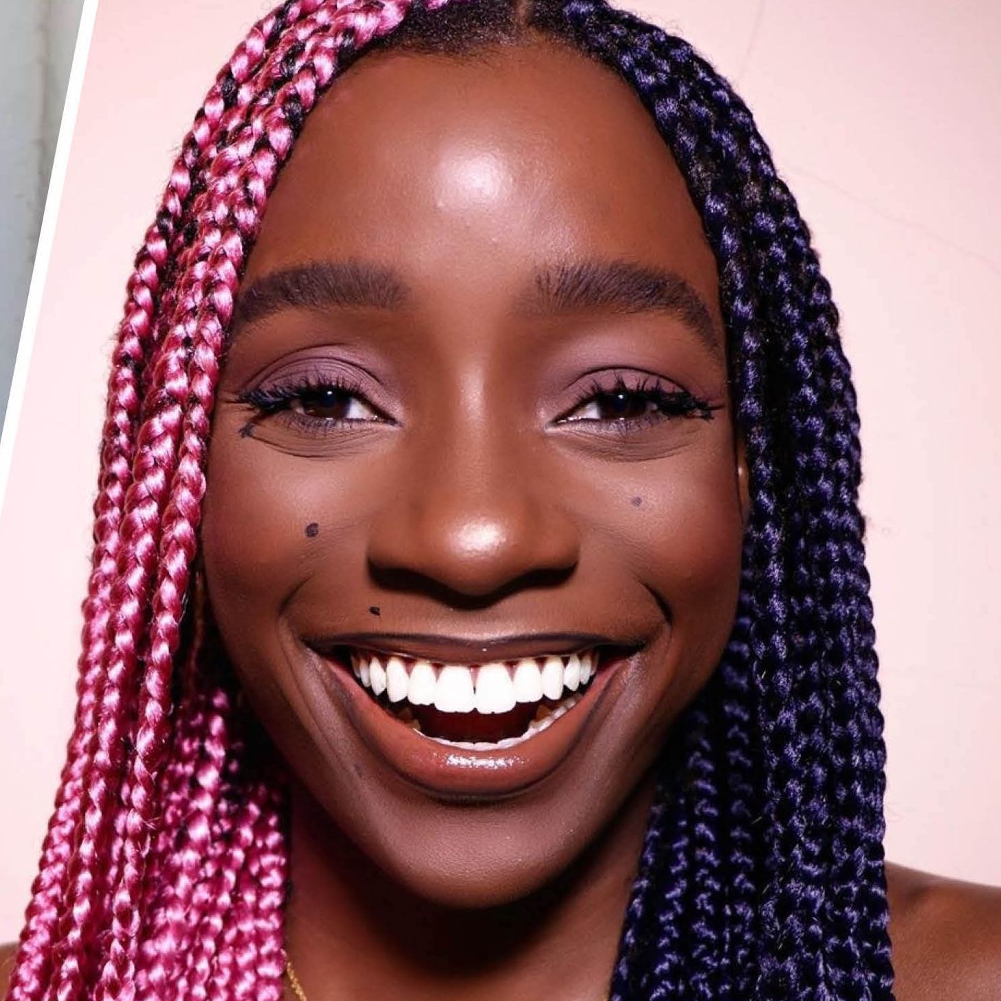 Pink and Dark Purple Split Box Braids — Two Tone Braids