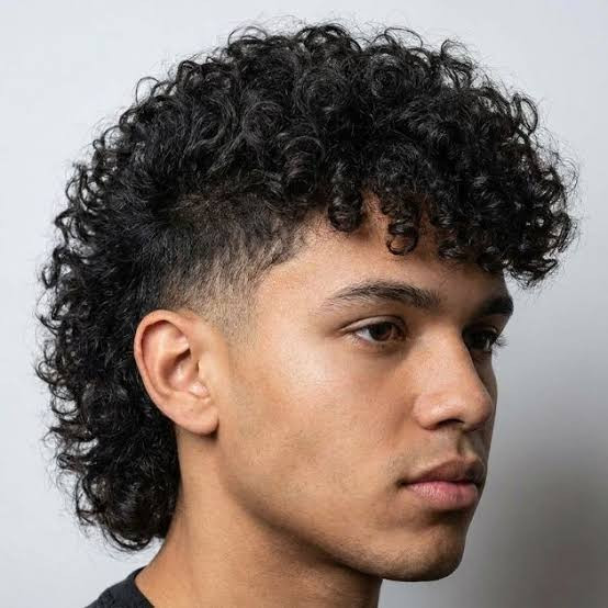 Black Visual Idea — Curly Hairstyles for Men