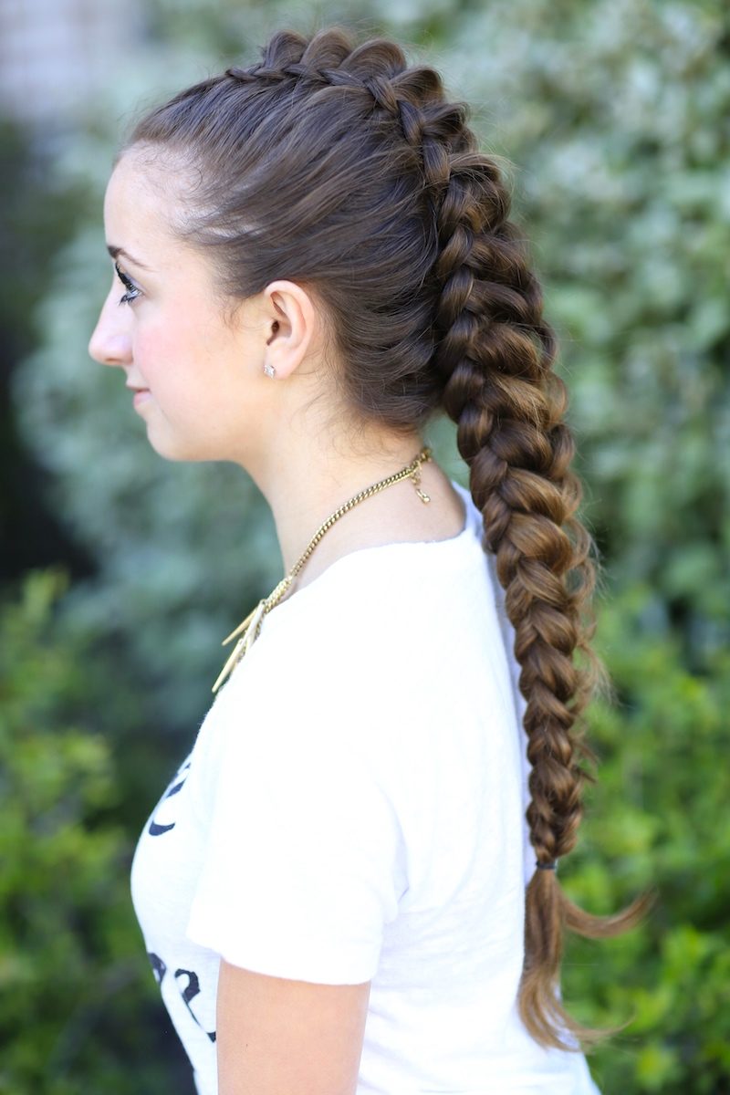 The Classic Medium Brown Braid — Dragon Braid