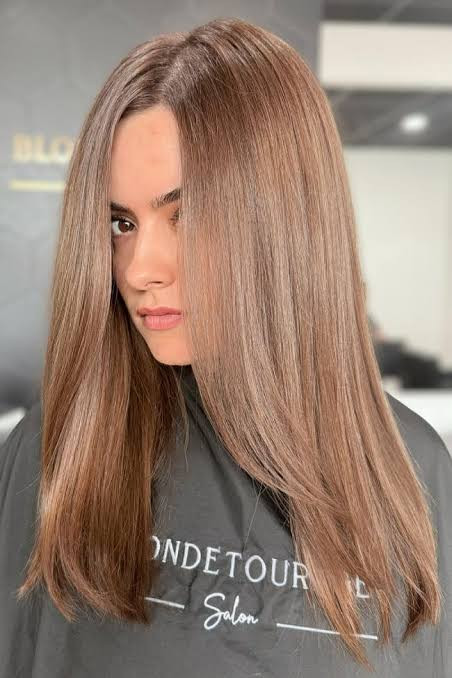 Collarbone Light Brown With Blended Highlights Collarbone Light Brown With Blended Highlights — Light Brown Hair