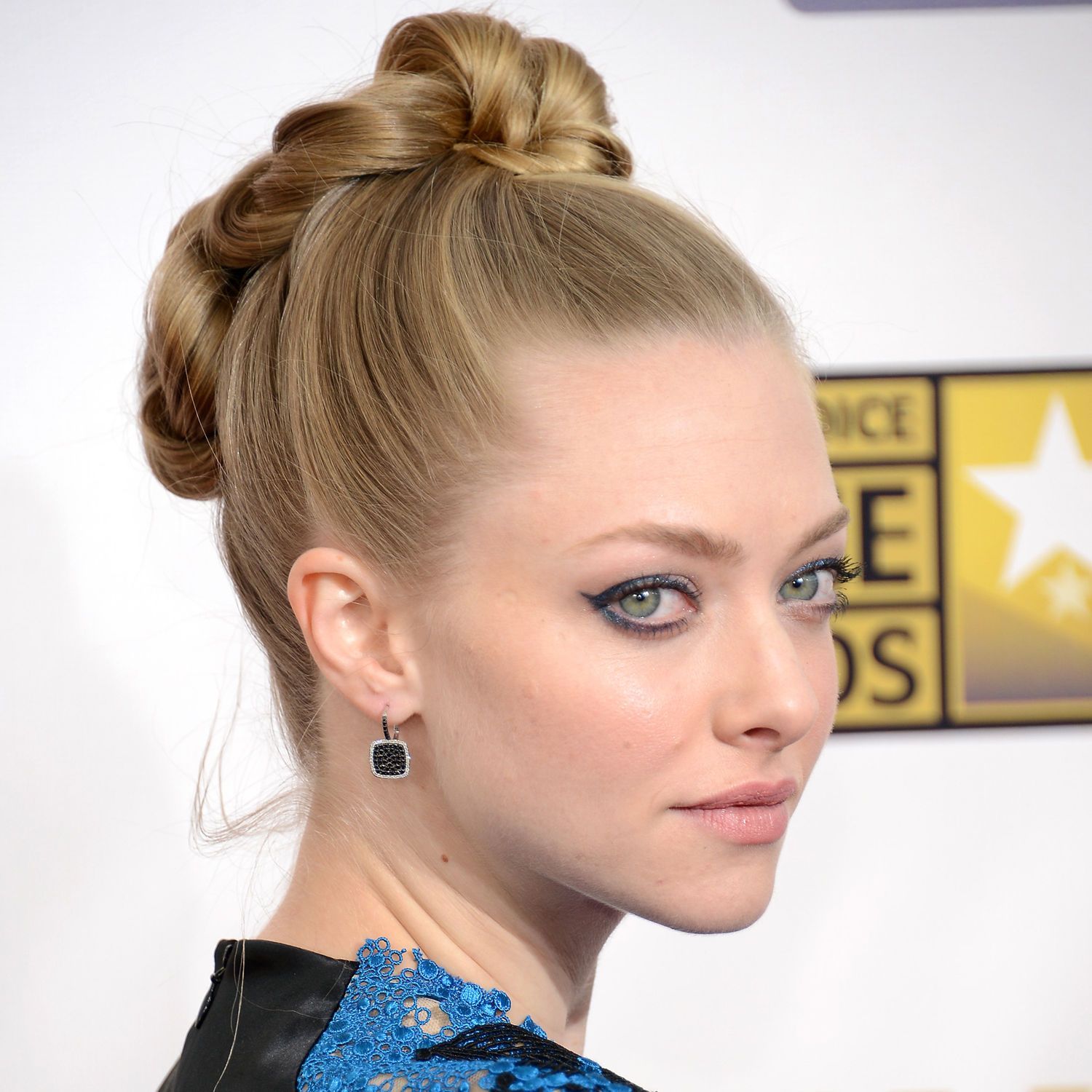Intricate Braided Updo Intricate Braided Updo — Hairstyles for Servers
