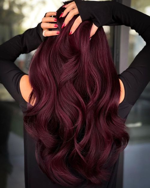 Dark Red With Violet Undertones Dark Red With Violet Undertones — Red and Black Hair