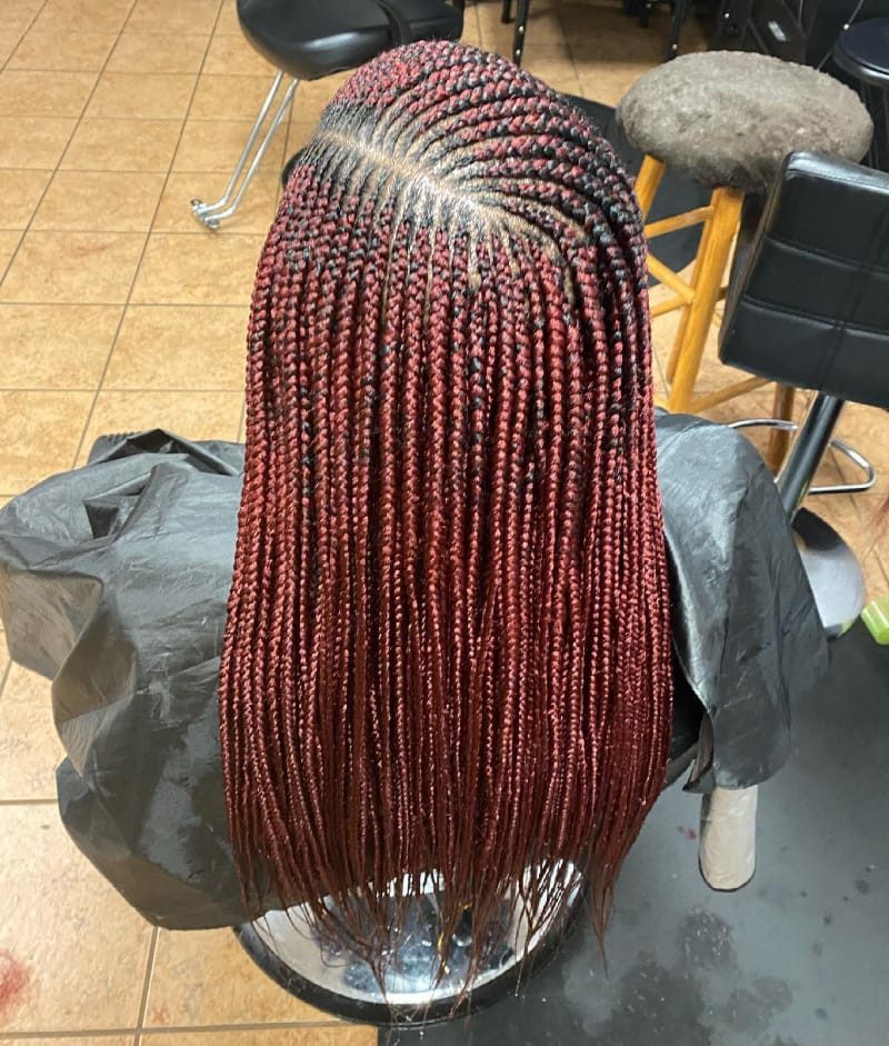 Burgundy Tribal Braids with Black Roots — Burgundy Braids