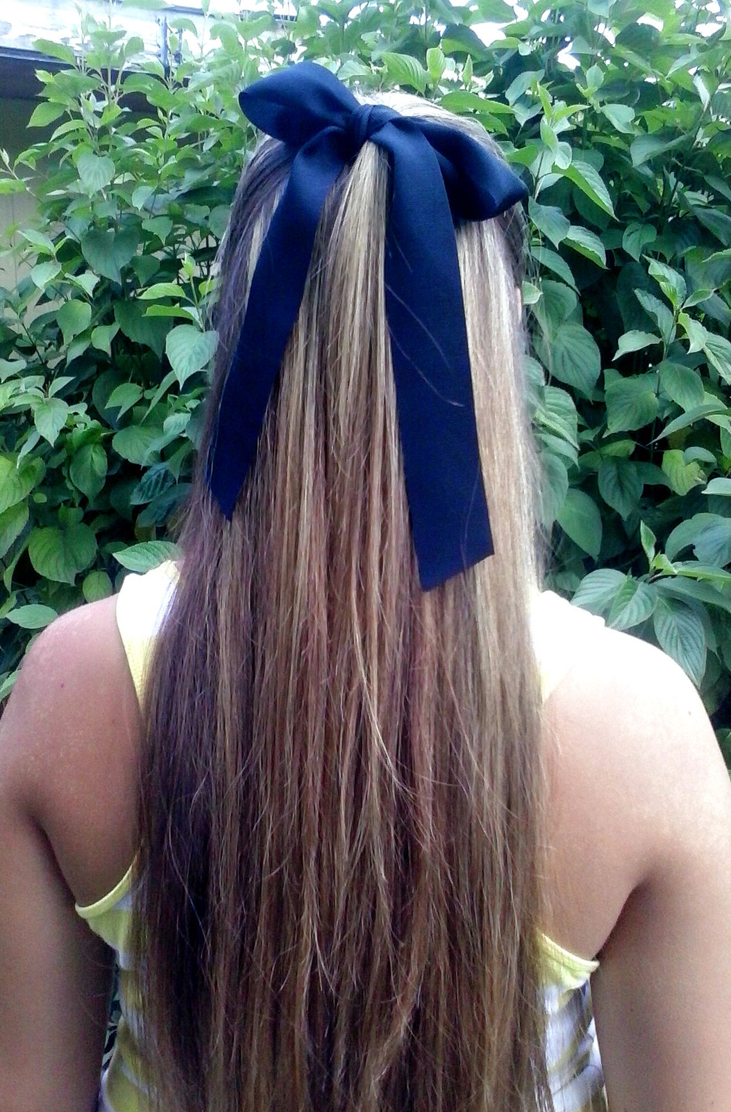 Dark Blonde Braided Crown With Blue Ribbon Dark Blonde Braided Crown With Blue Ribbon — Ribbon Hairstyles