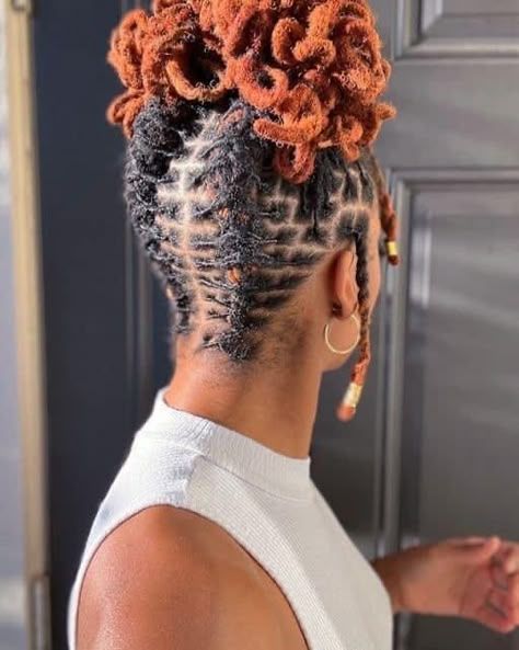 Coily Bun with Copper Highlights and Scalp Braids — Loc Bun