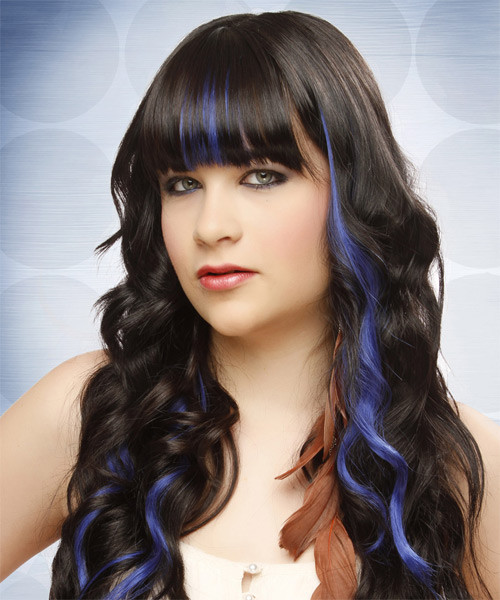 Long Hair Visual Idea Long Hair Visual Idea — Blue Highlights on Black Hair