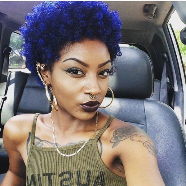 Royal Blue Afro Hair Royal Blue Afro Hair — Royal Blue Hair