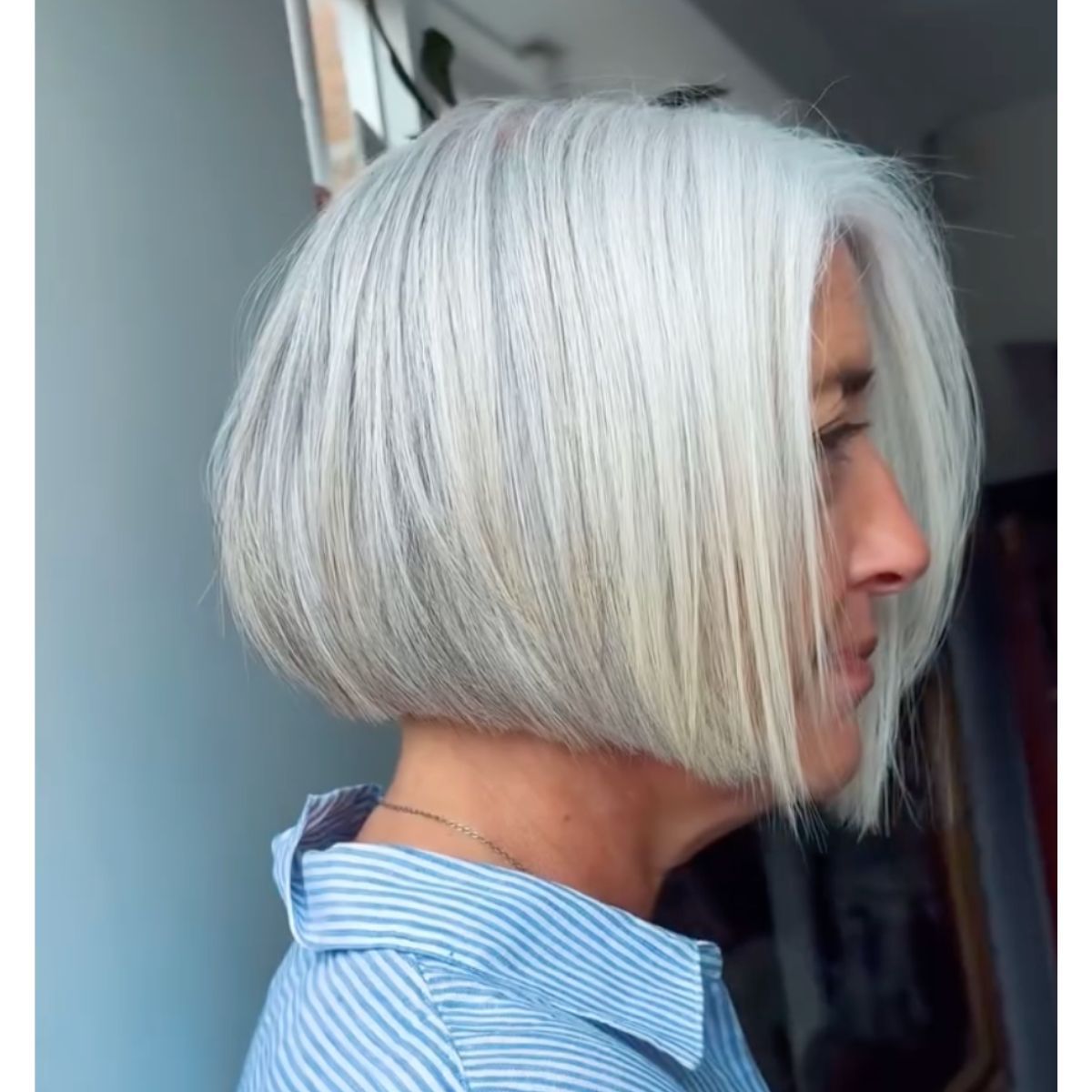 Sleek Silver-White Blunt Bob Sleek Silver-White Blunt Bob — Bob for Thick Hair