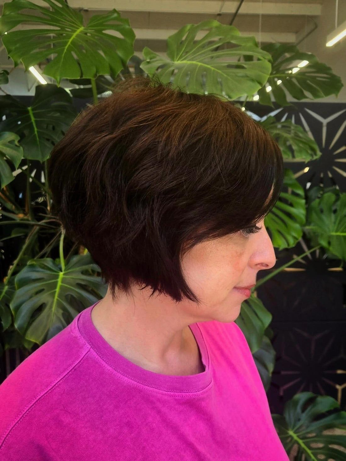 Rounded Shape Dark Brown Pixie Bob